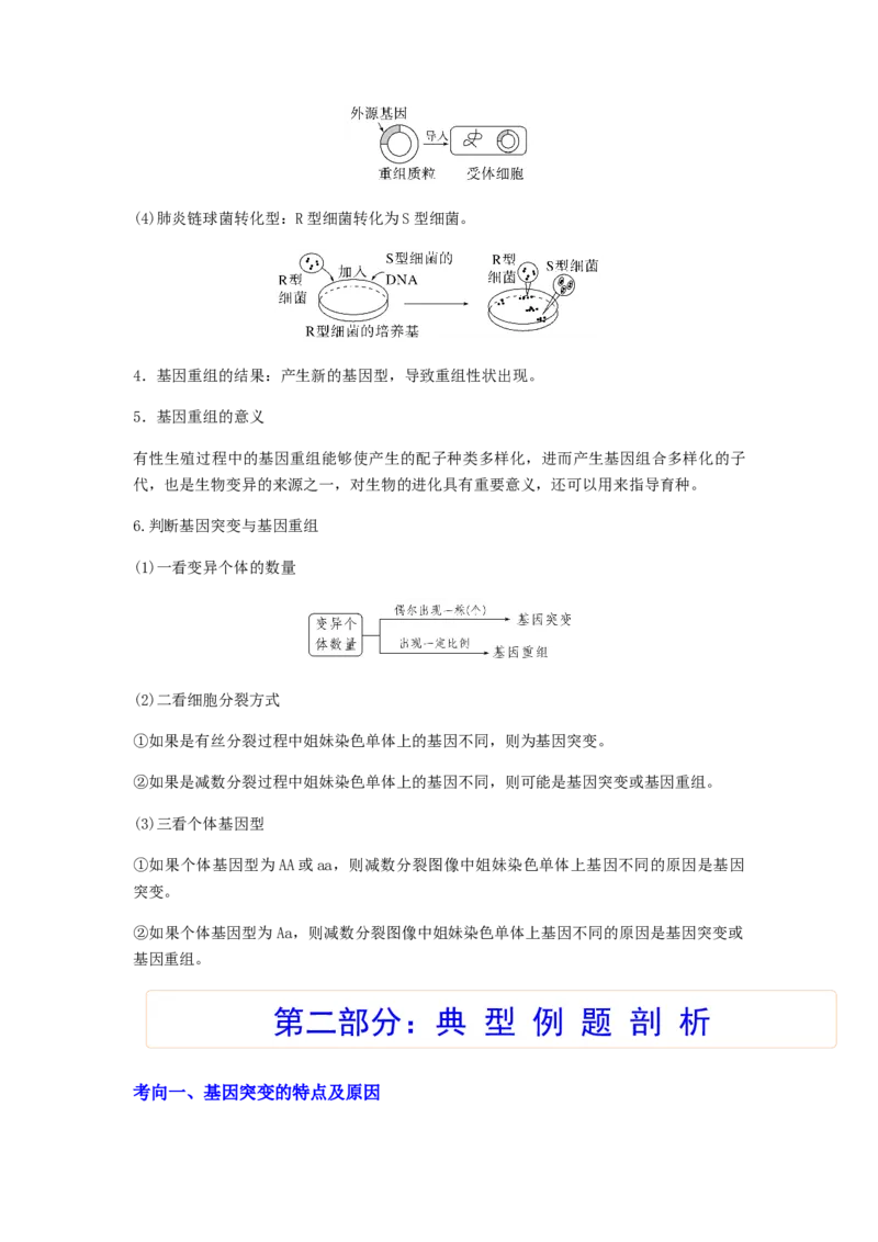考点21基因突变和基因重组（解析版）_通用版（老高考）复习资料_2023年复习资料_一轮复习_2023年高考生物一轮复习讲练测（全国通用）