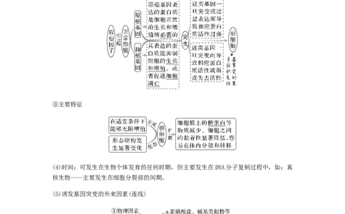 考点21基因突变和基因重组（解析版）_通用版（老高考）复习资料_2023年复习资料_一轮复习_2023年高考生物一轮复习讲练测（全国通用）