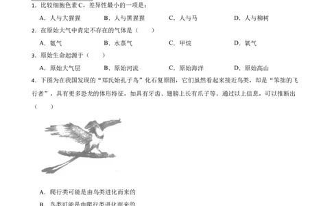 人教版2023届中考一轮复习专用训练卷&mdash;专题23生命的起源和进化（含解析）_6生物中考复习_2023年中考复习资料_一轮复习_人教版2023届中考生物一轮复习专用训练卷