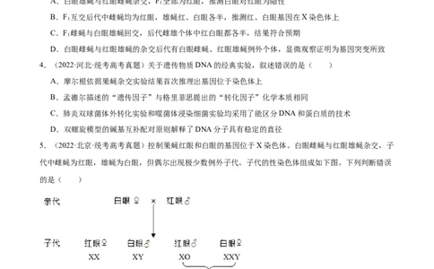 考点通关卷17遗传的基础知识（原卷版）_新高考复习资料_2024年新高考复习资料_一轮复习资料_完2024年高考生物一轮复习考点通关卷（新高考）_考点通关卷17遗传的基础知识