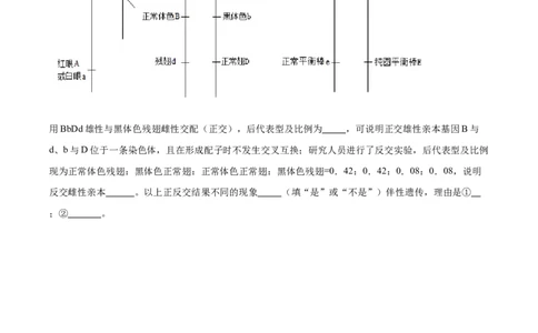 考点通关卷17遗传的基础知识（原卷版）_新高考复习资料_2024年新高考复习资料_一轮复习资料_完2024年高考生物一轮复习考点通关卷（新高考）_考点通关卷17遗传的基础知识