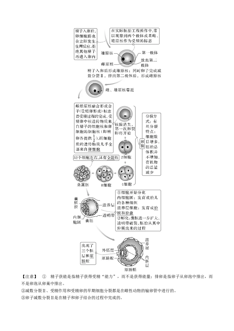 考向27细胞工程-备战2023年高考生物一轮复习考点微专题（全国通用）（解析版）_通用版（老高考）复习资料_2023年复习资料_一轮复习_备战2023年高考生物一轮复习考点微专题（全国通用）