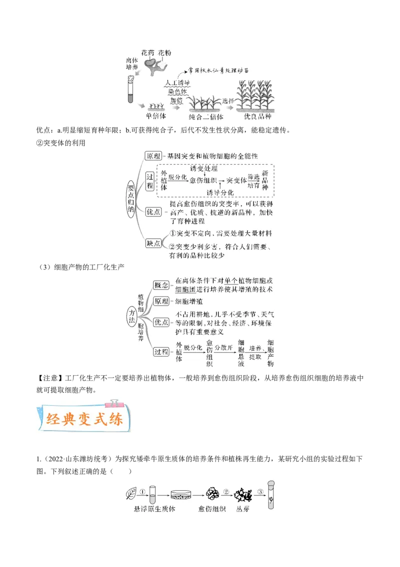 考向27细胞工程-备战2023年高考生物一轮复习考点微专题（全国通用）（解析版）_通用版（老高考）复习资料_2023年复习资料_一轮复习_备战2023年高考生物一轮复习考点微专题（全国通用）