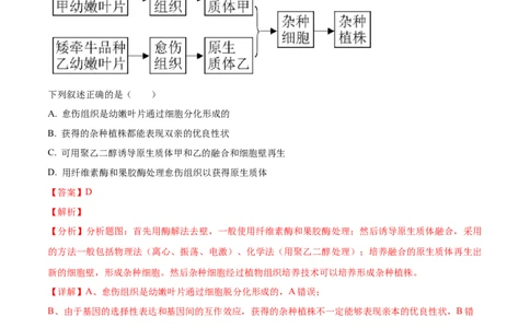 考向27细胞工程-备战2023年高考生物一轮复习考点微专题（全国通用）（解析版）_通用版（老高考）复习资料_2023年复习资料_一轮复习_备战2023年高考生物一轮复习考点微专题（全国通用）