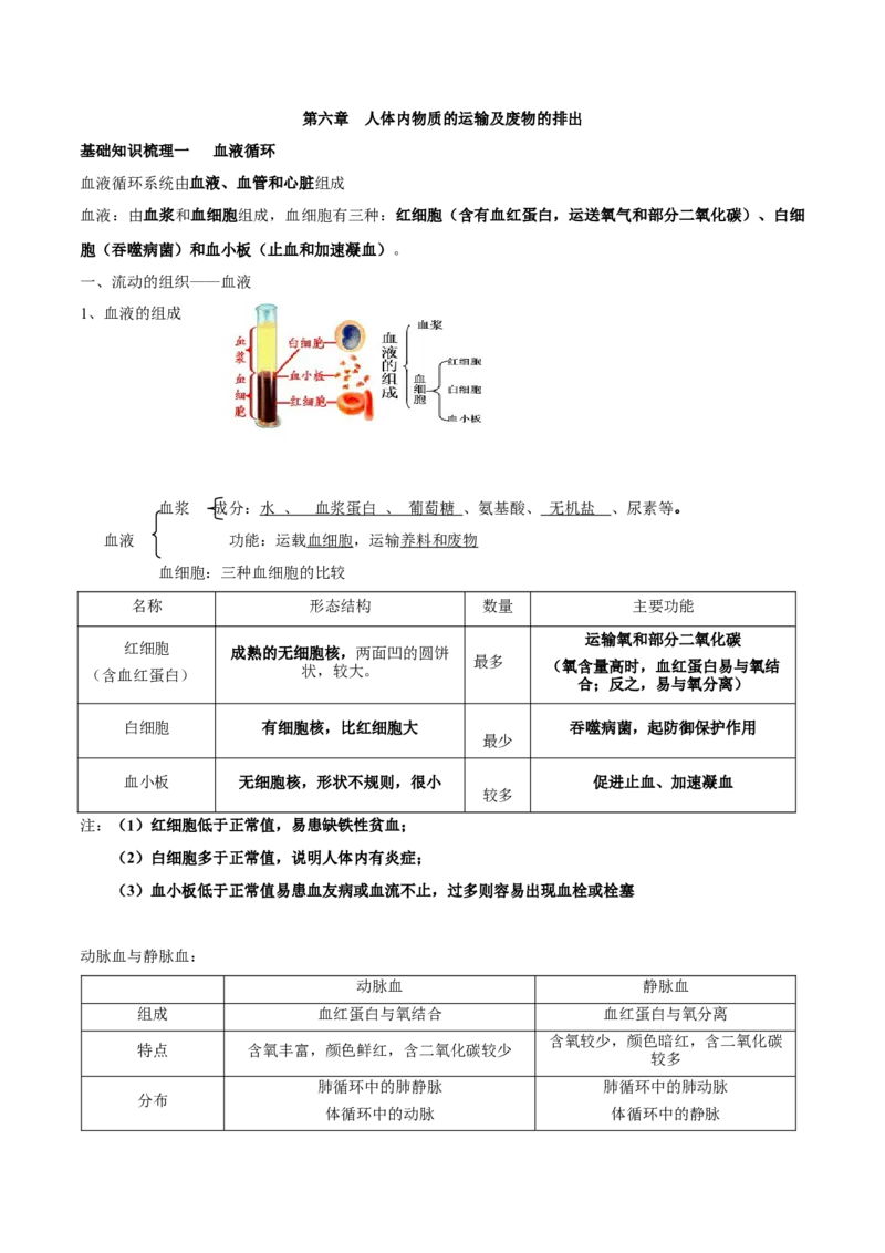专题六人体内物质的运输及废物的排出-2023年中考生物核心考点必背合集_6生物中考复习_2023年中考复习资料_专项复习_2023年中考生物核心考点必背合集-----
