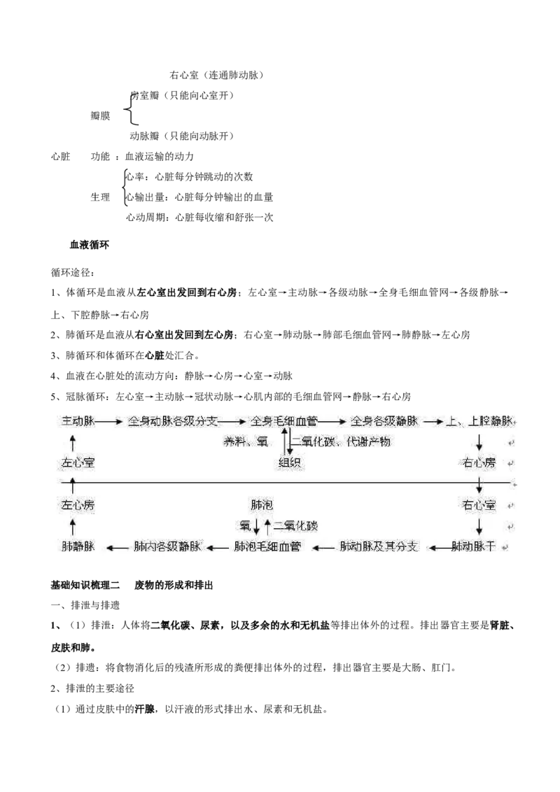 专题六人体内物质的运输及废物的排出-2023年中考生物核心考点必背合集_6生物中考复习_2023年中考复习资料_专项复习_2023年中考生物核心考点必背合集-----