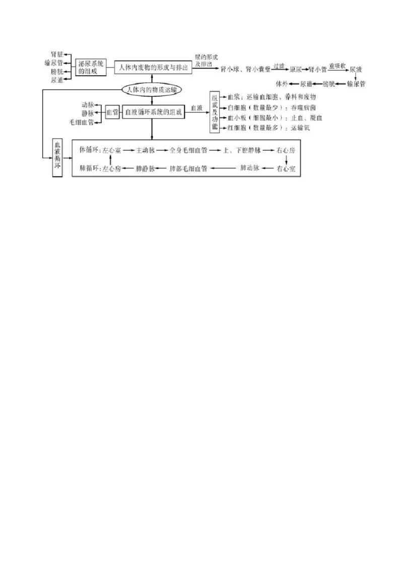 专题六人体内物质的运输及废物的排出-2023年中考生物核心考点必背合集_6生物中考复习_2023年中考复习资料_专项复习_2023年中考生物核心考点必背合集-----