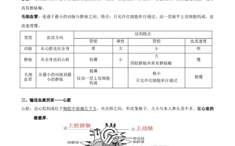 专题六人体内物质的运输及废物的排出-2023年中考生物核心考点必背合集_6生物中考复习_2023年中考复习资料_专项复习_2023年中考生物核心考点必背合集-----