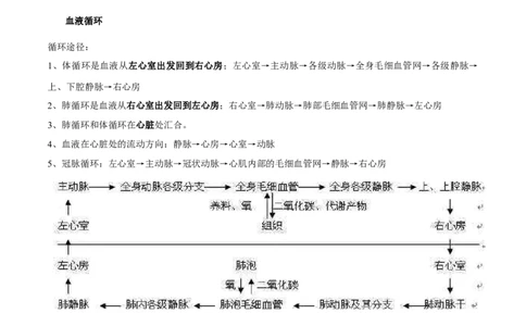 专题六人体内物质的运输及废物的排出-2023年中考生物核心考点必背合集_6生物中考复习_2023年中考复习资料_专项复习_2023年中考生物核心考点必背合集-----