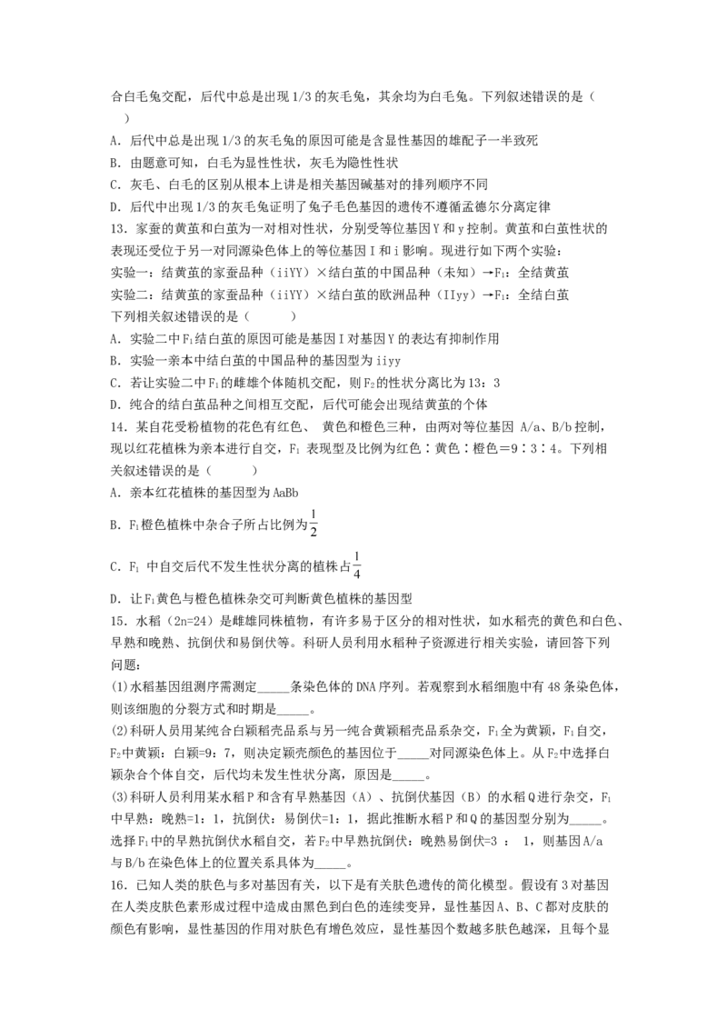 考点16基因的自由组合定律（核心考点讲与练）-2023年高考生物一轮复习讲练测（全国通用）（原卷版）_通用版（老高考）复习资料_2023年复习资料_一轮复习
