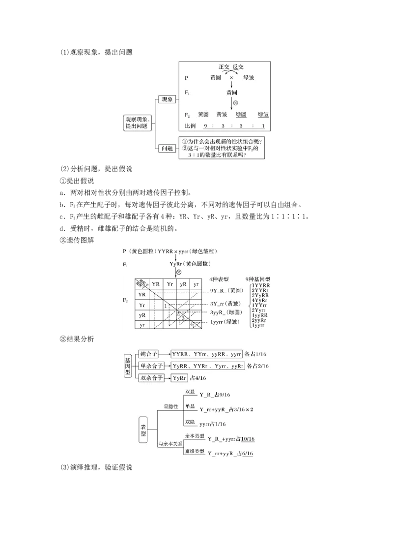 考点16基因的自由组合定律（核心考点讲与练）-2023年高考生物一轮复习讲练测（全国通用）（原卷版）_通用版（老高考）复习资料_2023年复习资料_一轮复习