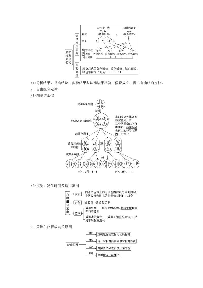 考点16基因的自由组合定律（核心考点讲与练）-2023年高考生物一轮复习讲练测（全国通用）（原卷版）_通用版（老高考）复习资料_2023年复习资料_一轮复习