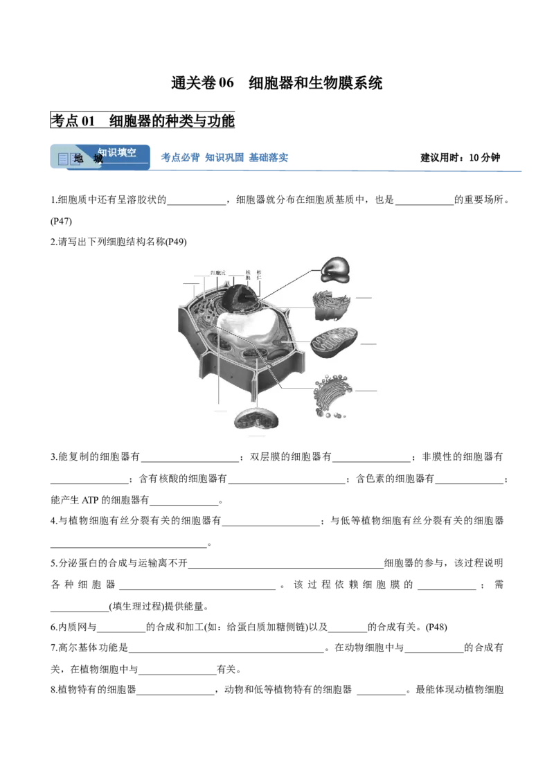 考点通关卷06细胞器和生物膜系统（解析版）_2025年新高考资料_一轮复习_2025年高考生物一轮复习考点通关卷（新高考通用）