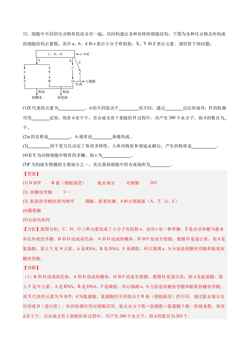 考点通关卷06细胞器和生物膜系统（解析版）_2025年新高考资料_一轮复习_2025年高考生物一轮复习考点通关卷（新高考通用）