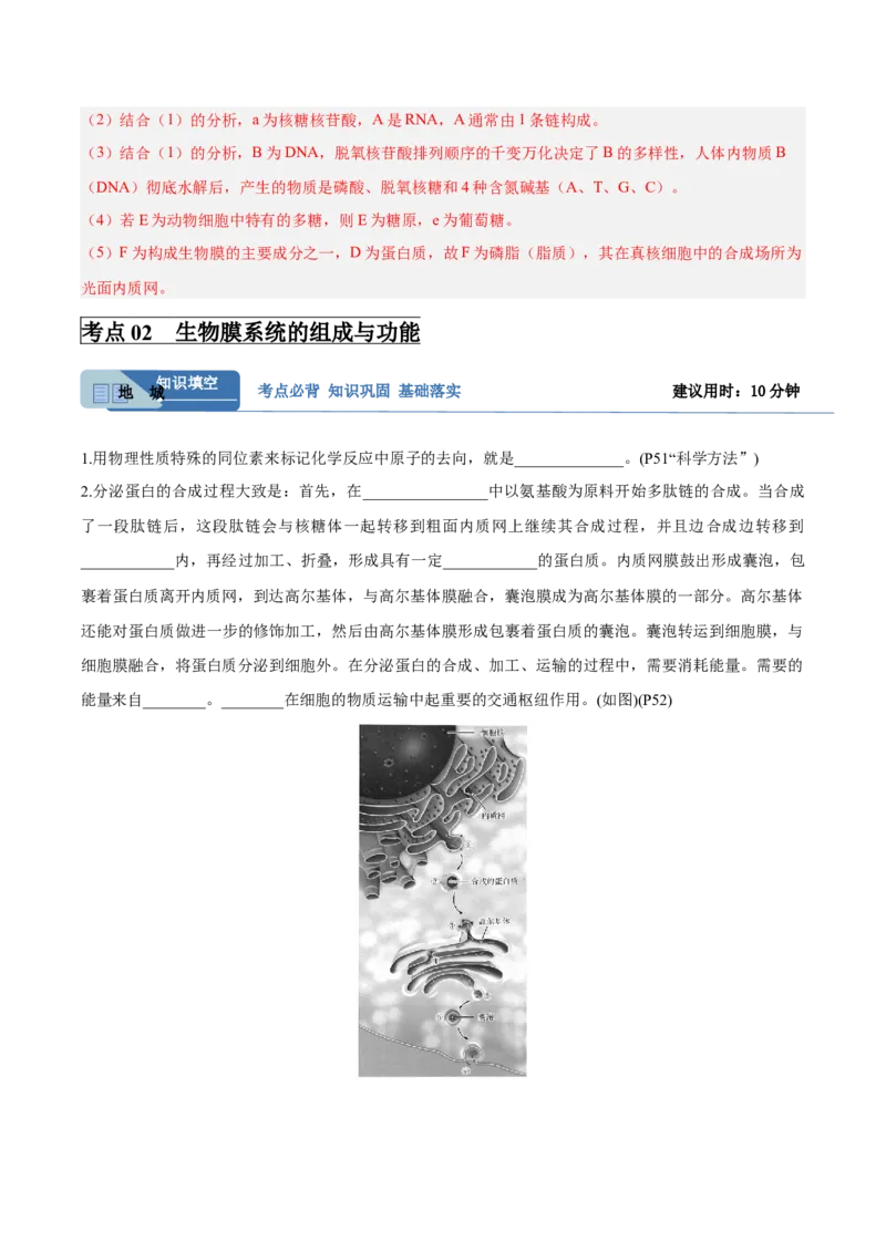 考点通关卷06细胞器和生物膜系统（解析版）_2025年新高考资料_一轮复习_2025年高考生物一轮复习考点通关卷（新高考通用）