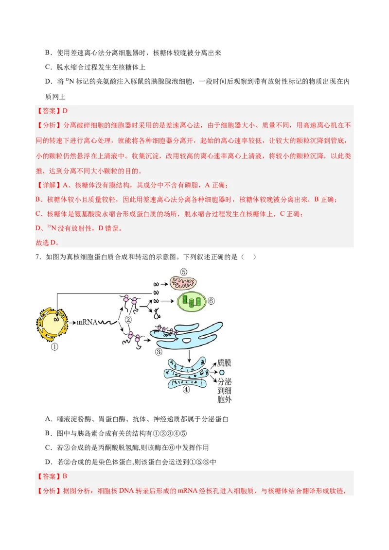 考点通关卷06细胞器和生物膜系统（解析版）_2025年新高考资料_一轮复习_2025年高考生物一轮复习考点通关卷（新高考通用）