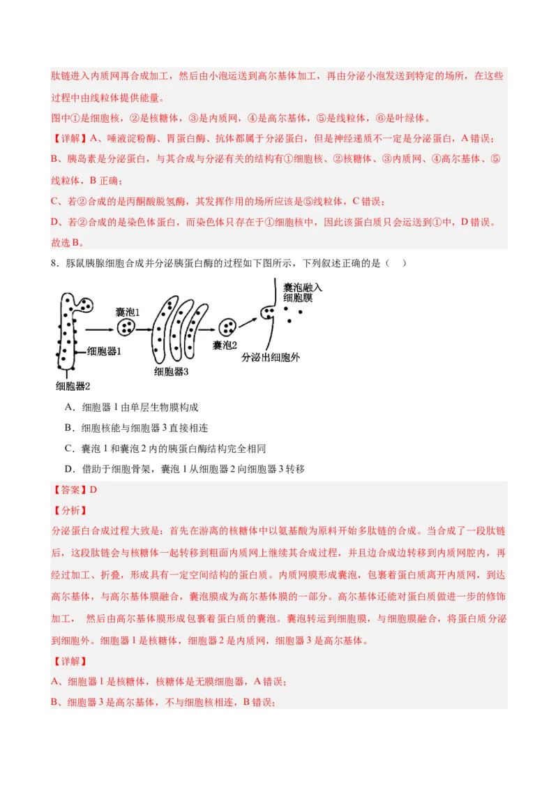 考点通关卷06细胞器和生物膜系统（解析版）_2025年新高考资料_一轮复习_2025年高考生物一轮复习考点通关卷（新高考通用）
