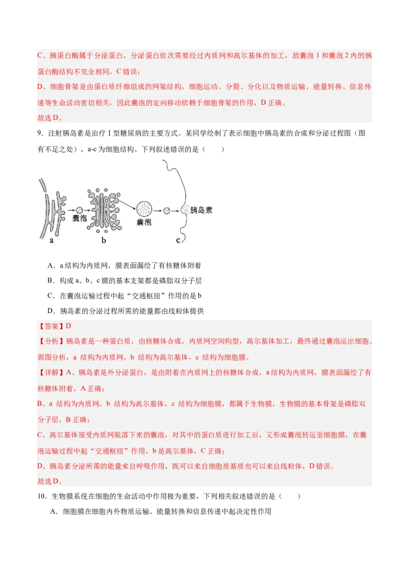 考点通关卷06细胞器和生物膜系统（解析版）_2025年新高考资料_一轮复习_2025年高考生物一轮复习考点通关卷（新高考通用）