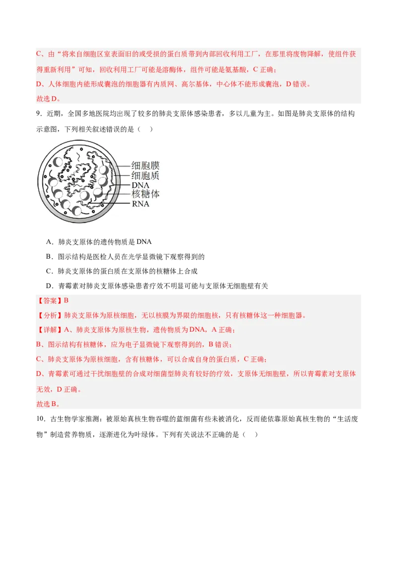 考点通关卷06细胞器和生物膜系统（解析版）_2025年新高考资料_一轮复习_2025年高考生物一轮复习考点通关卷（新高考通用）