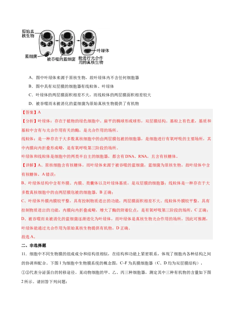 考点通关卷06细胞器和生物膜系统（解析版）_2025年新高考资料_一轮复习_2025年高考生物一轮复习考点通关卷（新高考通用）