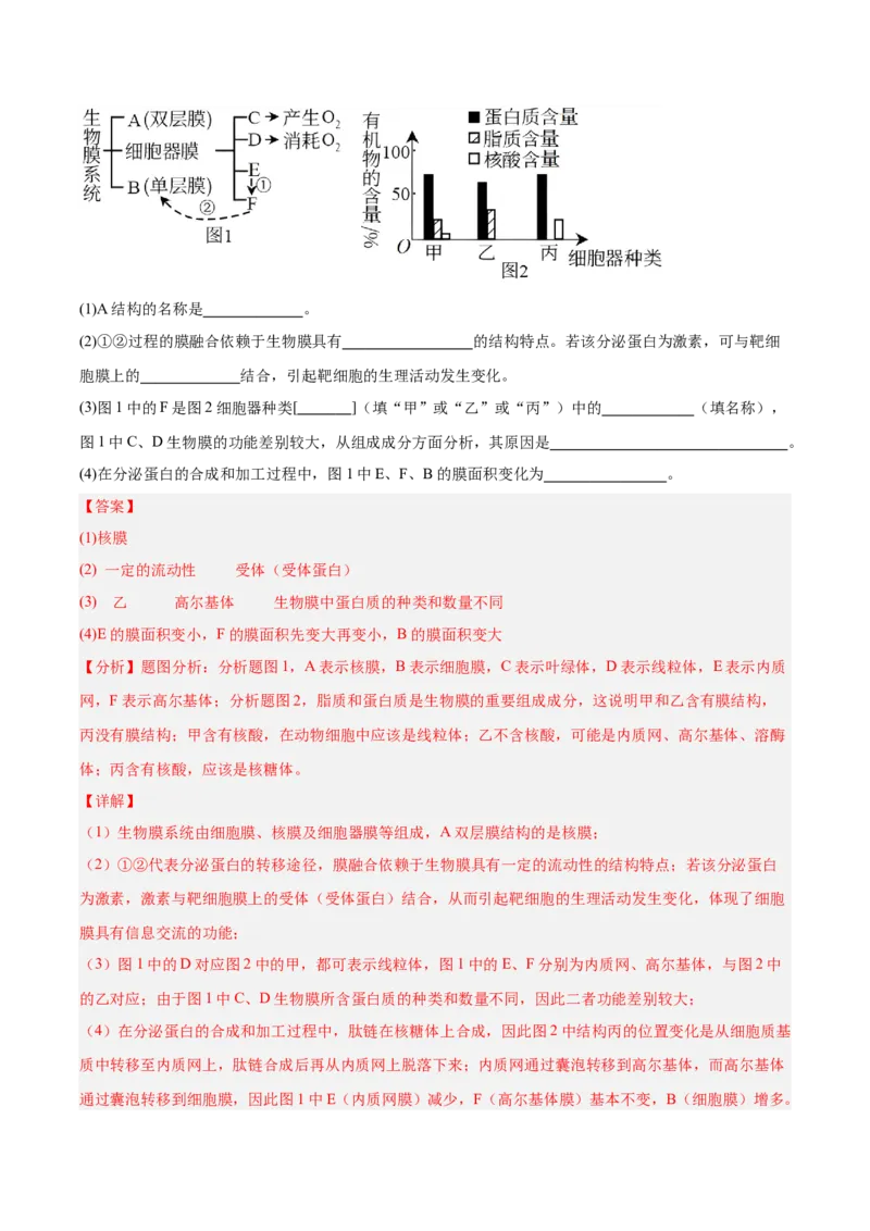 考点通关卷06细胞器和生物膜系统（解析版）_2025年新高考资料_一轮复习_2025年高考生物一轮复习考点通关卷（新高考通用）