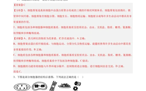 考点通关卷06细胞器和生物膜系统（解析版）_2025年新高考资料_一轮复习_2025年高考生物一轮复习考点通关卷（新高考通用）