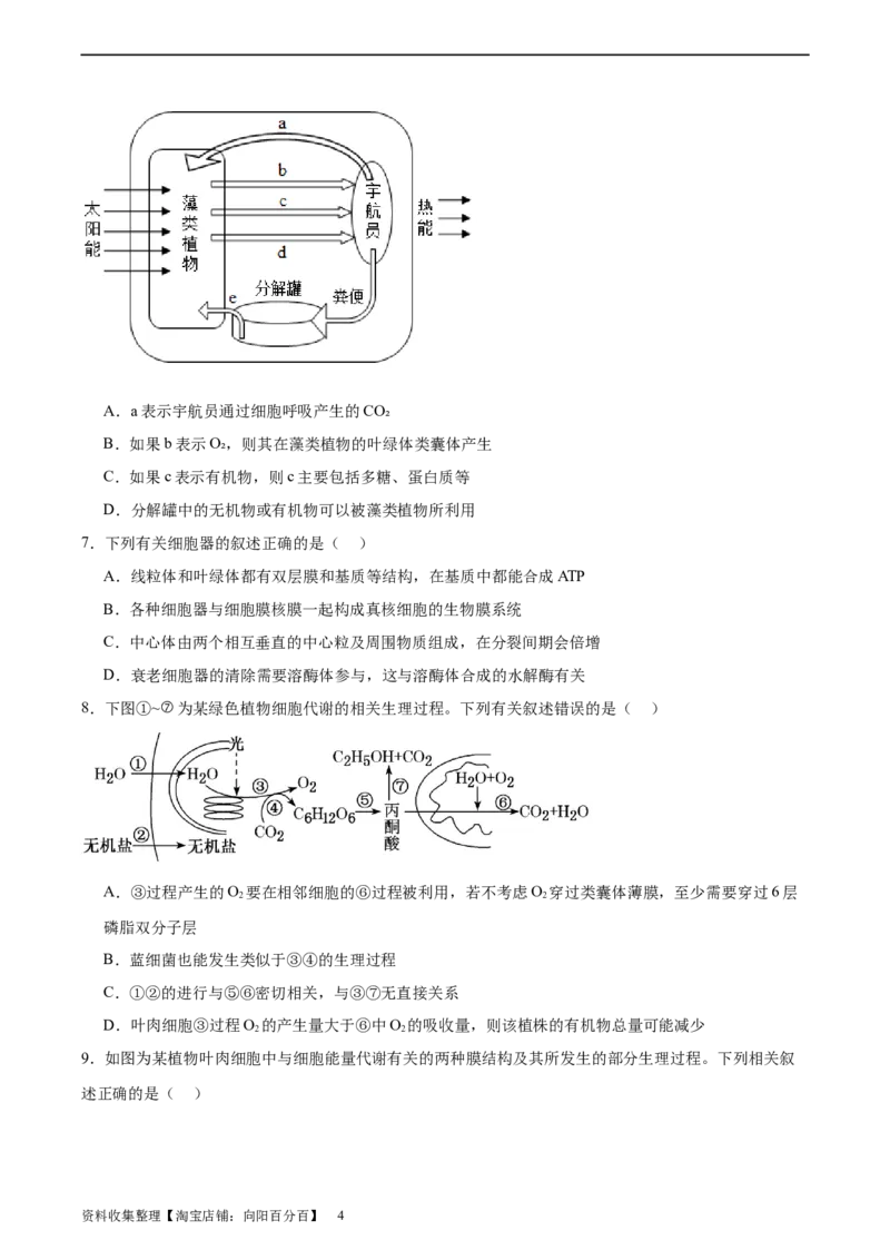 考点通关卷11细胞代谢综合分析（原卷版）_新高考复习资料_2024年新高考复习资料_一轮复习资料_完2024年高考生物一轮复习考点通关卷（新高考）_考点通关卷11细胞代谢综合分析