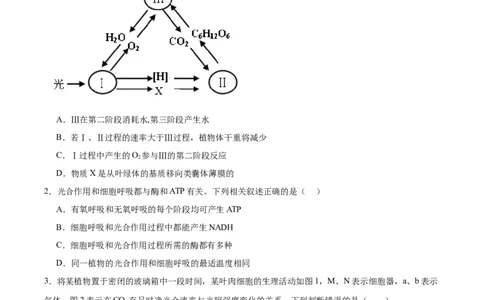 考点通关卷11细胞代谢综合分析（原卷版）_新高考复习资料_2024年新高考复习资料_一轮复习资料_完2024年高考生物一轮复习考点通关卷（新高考）_考点通关卷11细胞代谢综合分析