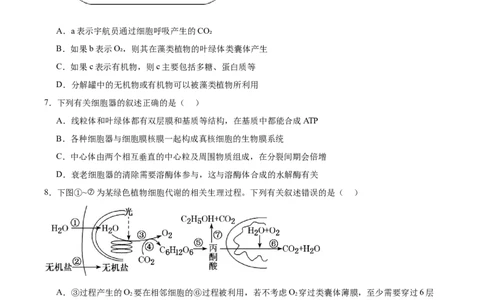 考点通关卷11细胞代谢综合分析（原卷版）_新高考复习资料_2024年新高考复习资料_一轮复习资料_完2024年高考生物一轮复习考点通关卷（新高考）_考点通关卷11细胞代谢综合分析
