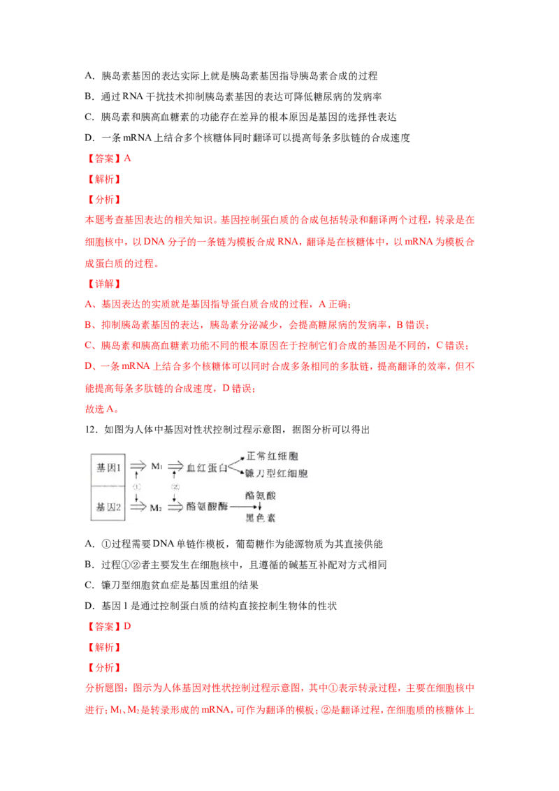 考点精讲9遗传的分子基础（作业）_新高考复习资料_2022年新高考复习资料_2022届一轮复习讲练结合7.13更新_系列二_考点精讲9遗传的分子基础