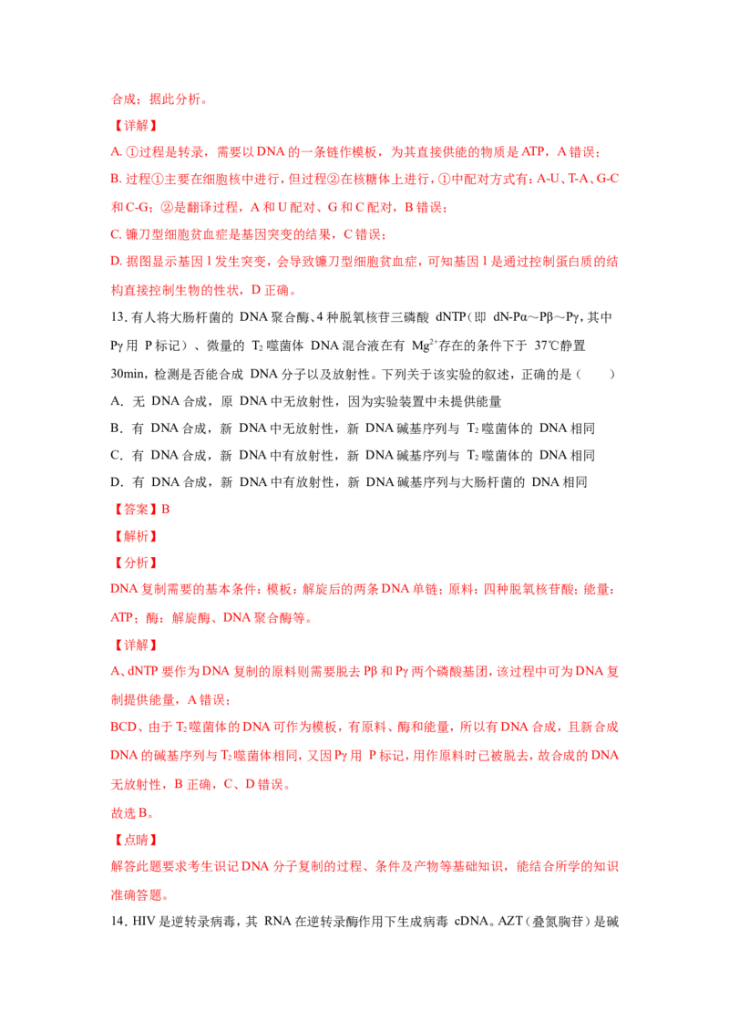 考点精讲9遗传的分子基础（作业）_新高考复习资料_2022年新高考复习资料_2022届一轮复习讲练结合7.13更新_系列二_考点精讲9遗传的分子基础