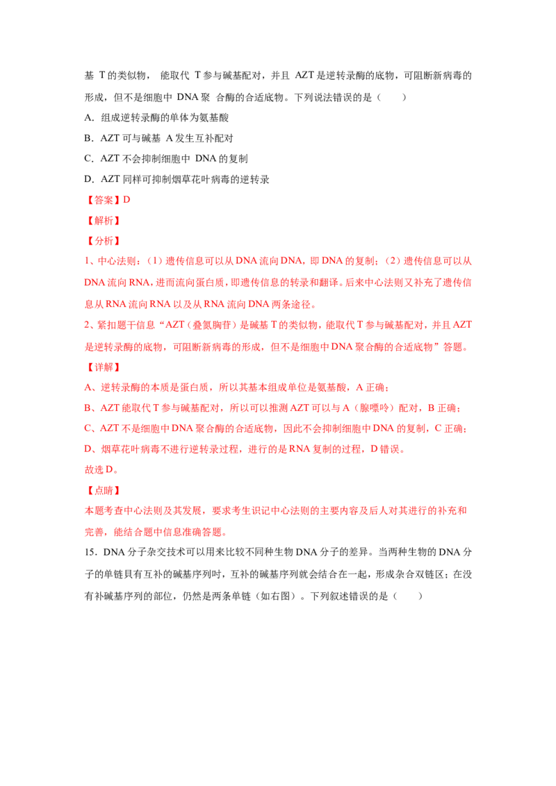 考点精讲9遗传的分子基础（作业）_新高考复习资料_2022年新高考复习资料_2022届一轮复习讲练结合7.13更新_系列二_考点精讲9遗传的分子基础