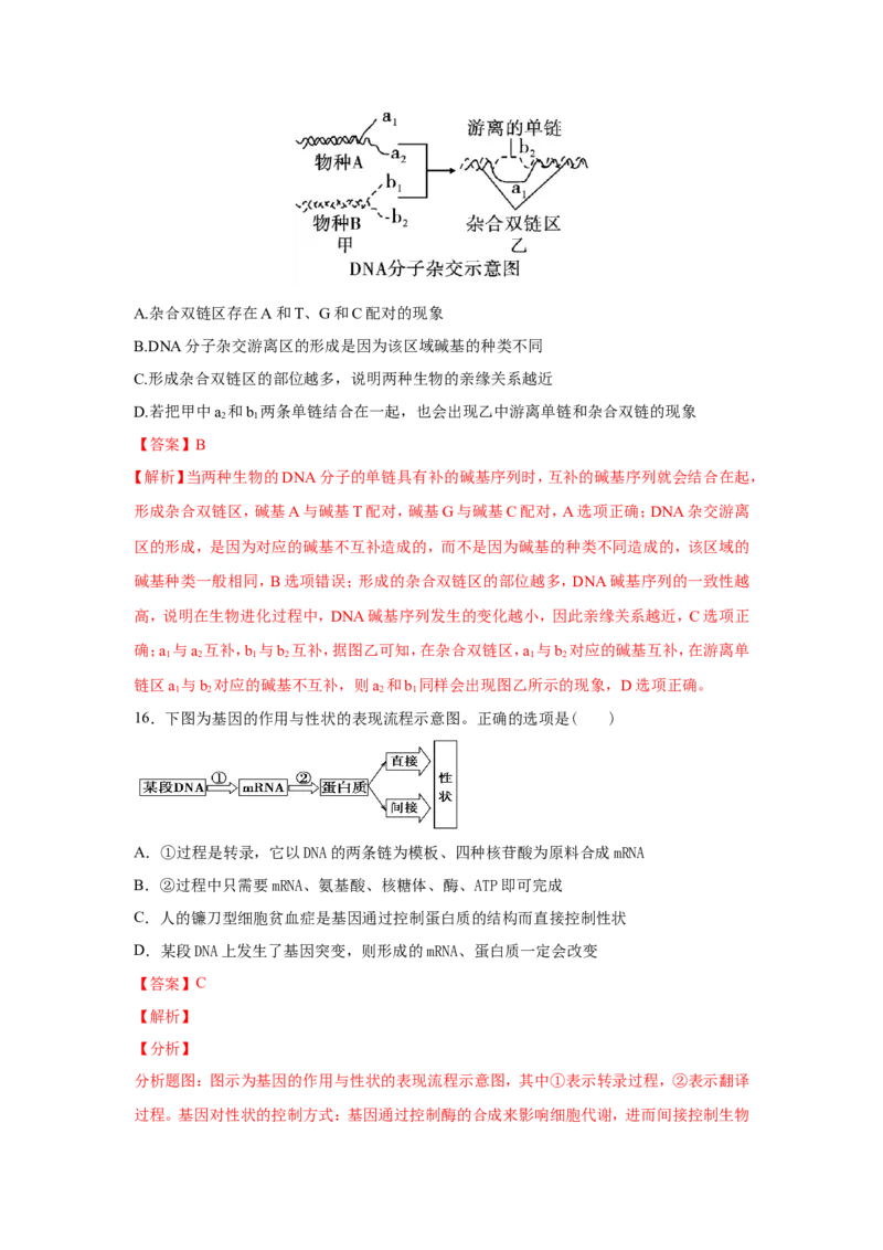考点精讲9遗传的分子基础（作业）_新高考复习资料_2022年新高考复习资料_2022届一轮复习讲练结合7.13更新_系列二_考点精讲9遗传的分子基础