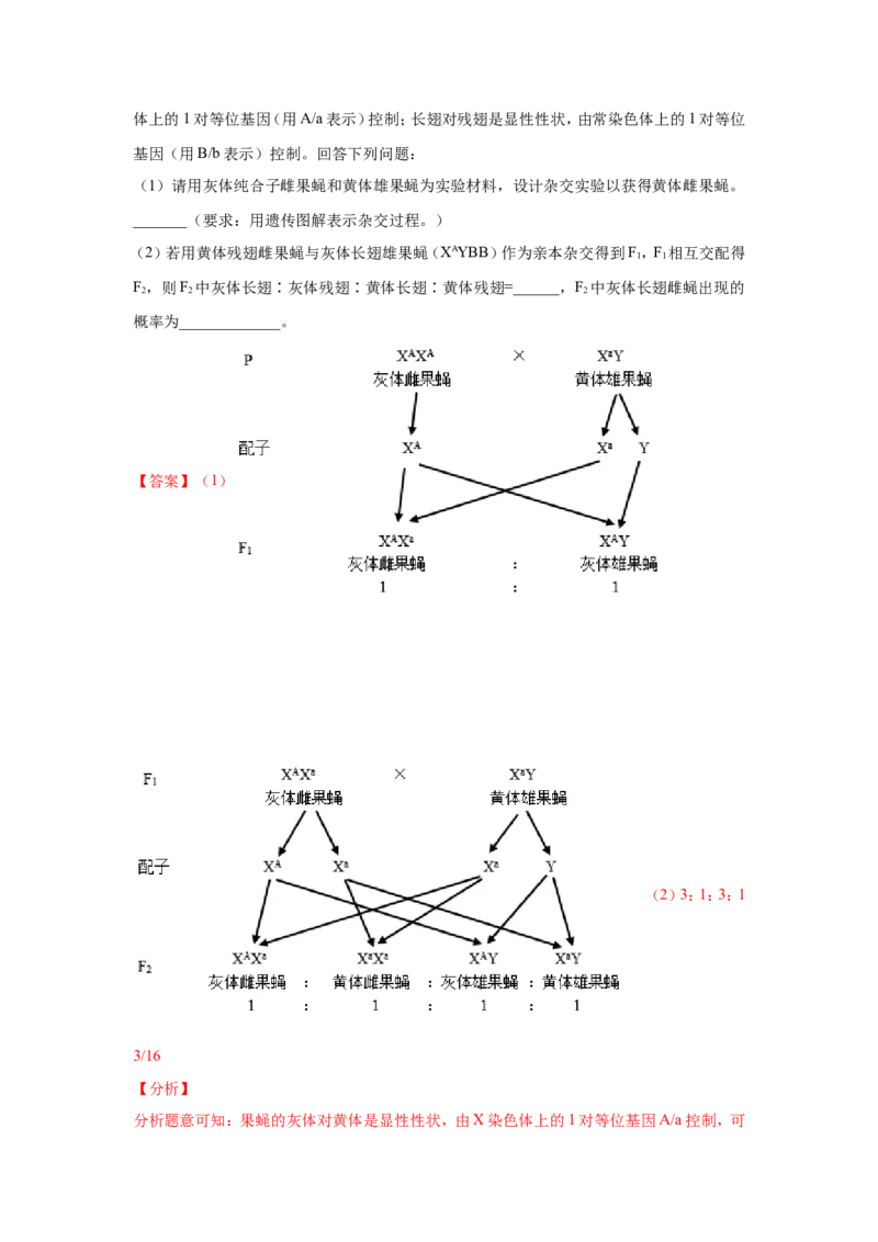 考点精讲9遗传的分子基础（作业）_新高考复习资料_2022年新高考复习资料_2022届一轮复习讲练结合7.13更新_系列二_考点精讲9遗传的分子基础