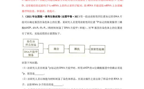 考点精讲9遗传的分子基础（作业）_新高考复习资料_2022年新高考复习资料_2022届一轮复习讲练结合7.13更新_系列二_考点精讲9遗传的分子基础
