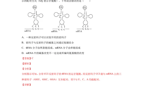 考点精讲9遗传的分子基础（作业）_新高考复习资料_2022年新高考复习资料_2022届一轮复习讲练结合7.13更新_系列二_考点精讲9遗传的分子基础