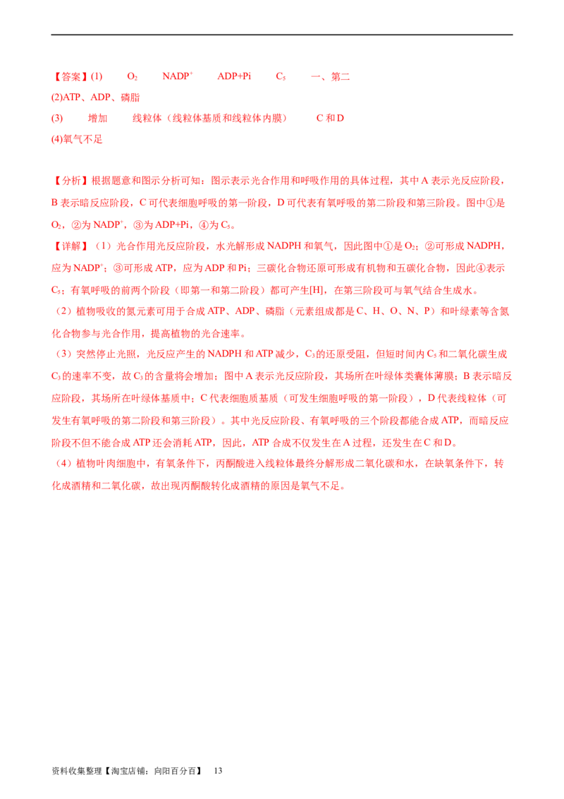 考点通关卷11细胞代谢综合分析（解析版）_新高考复习资料_2024年新高考复习资料_一轮复习资料_完2024年高考生物一轮复习考点通关卷（新高考）_考点通关卷11细胞代谢综合分析