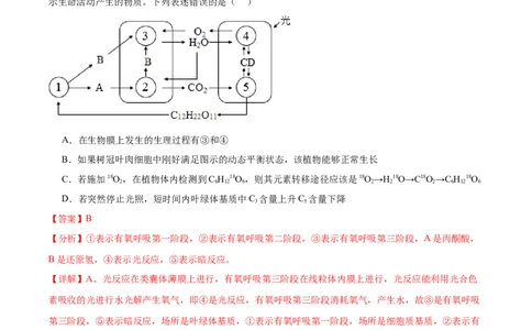 考点通关卷11细胞代谢综合分析（解析版）_新高考复习资料_2024年新高考复习资料_一轮复习资料_完2024年高考生物一轮复习考点通关卷（新高考）_考点通关卷11细胞代谢综合分析
