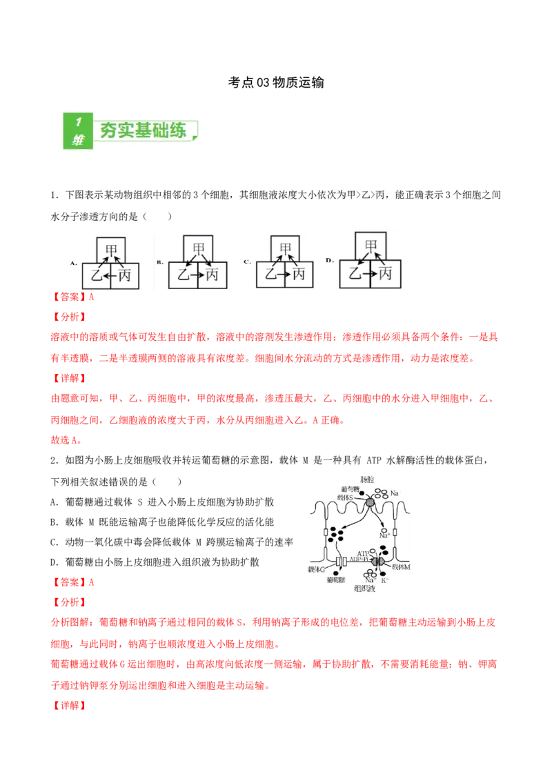 考点03物质运输-2022年高考生物一轮复习小题多维练（新高考专用）（解析版）_新高考复习资料_2022年新高考复习资料_2022年高考生物一轮复习小题多维练（新高考专用）8.8更新