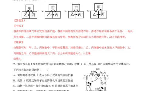 考点03物质运输-2022年高考生物一轮复习小题多维练（新高考专用）（解析版）_新高考复习资料_2022年新高考复习资料_2022年高考生物一轮复习小题多维练（新高考专用）8.8更新