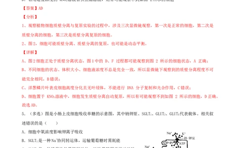 考点03物质运输-2022年高考生物一轮复习小题多维练（新高考专用）（解析版）_新高考复习资料_2022年新高考复习资料_2022年高考生物一轮复习小题多维练（新高考专用）8.8更新