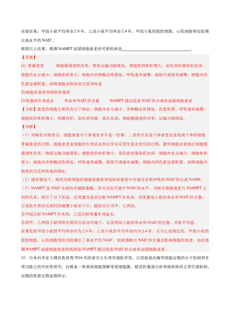 考点通关卷14细胞分化、衰老、凋亡和癌变（解析版）_新高考复习资料_2025年新高考资料_2025年高考生物一轮复习考点通关卷（新高考通用）