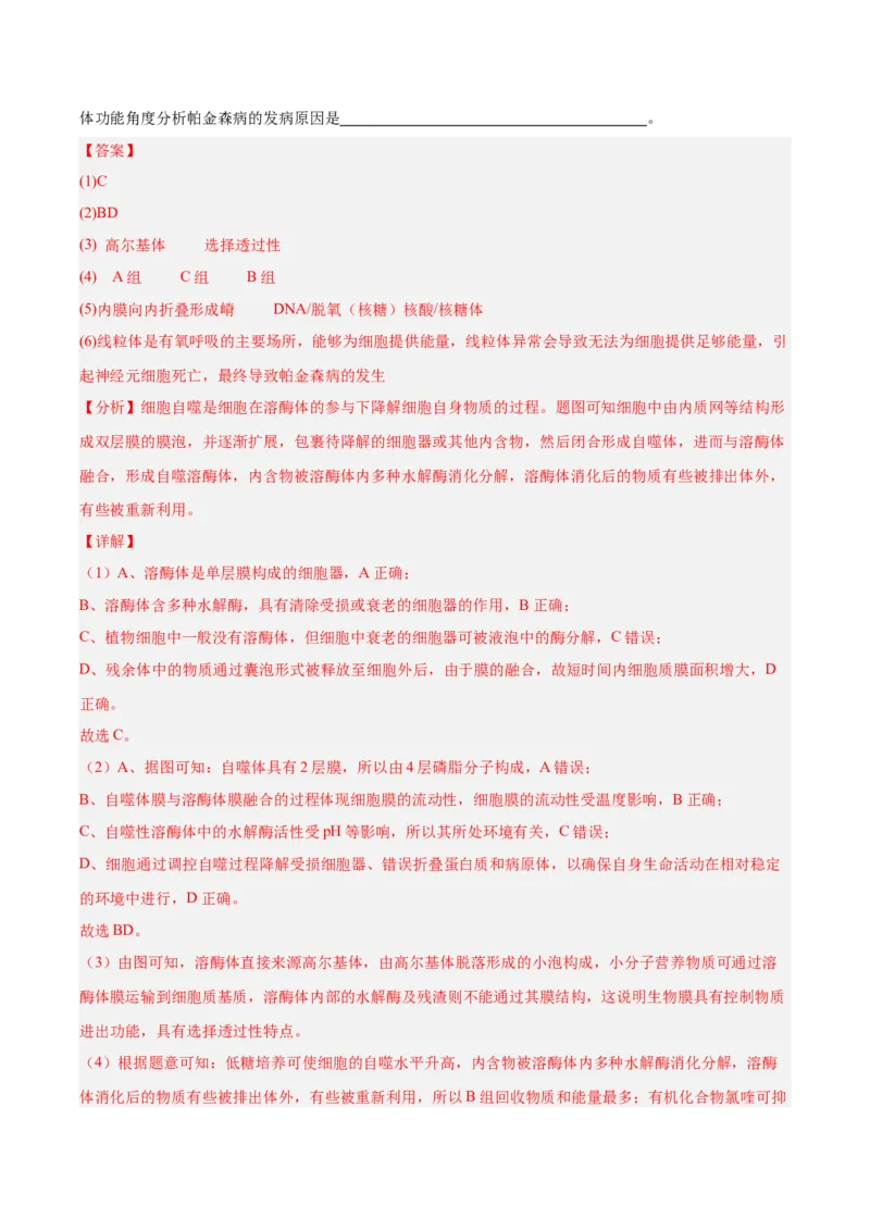 考点通关卷14细胞分化、衰老、凋亡和癌变（解析版）_新高考复习资料_2025年新高考资料_2025年高考生物一轮复习考点通关卷（新高考通用）