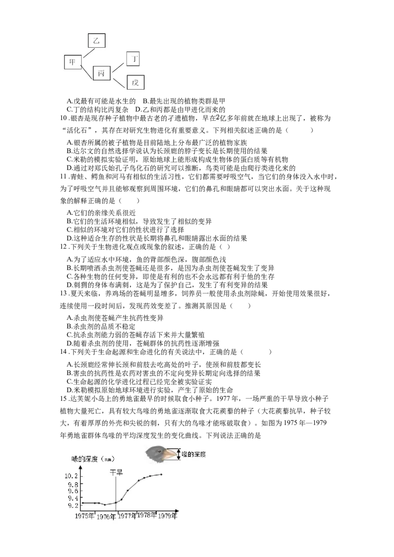 专题24生物的进化（原卷版）_6生物中考复习_2024年中考复习资料_一轮复习资料_完精准复习课件精讲ppt+习题精练备战2024年中考生物一轮复习全考点通关_配套练习