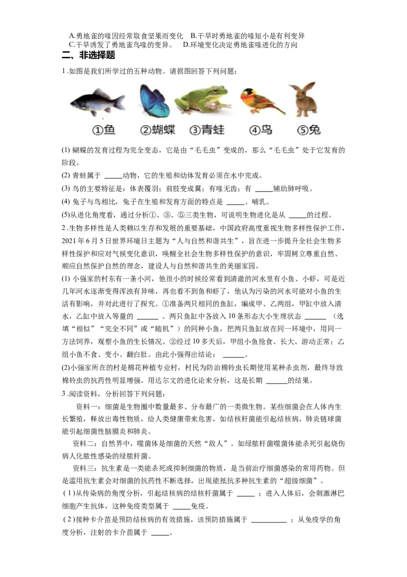专题24生物的进化（原卷版）_6生物中考复习_2024年中考复习资料_一轮复习资料_完精准复习课件精讲ppt+习题精练备战2024年中考生物一轮复习全考点通关_配套练习