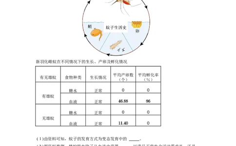 专题24生物的进化（原卷版）_6生物中考复习_2024年中考复习资料_一轮复习资料_完精准复习课件精讲ppt+习题精练备战2024年中考生物一轮复习全考点通关_配套练习