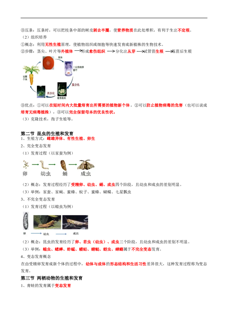 专题19生物的生殖和发育-2022年中考生物一轮复习抓重点考典型（人教版）（原卷版）_6生物中考复习_2023年中考复习资料_一轮复习_2022年中考生物一轮复习抓重点考典型（人教版）