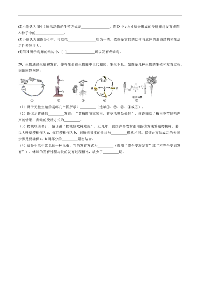 专题19生物的生殖和发育-2022年中考生物一轮复习抓重点考典型（人教版）（原卷版）_6生物中考复习_2023年中考复习资料_一轮复习_2022年中考生物一轮复习抓重点考典型（人教版）