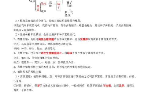 专题19生物的生殖和发育-2022年中考生物一轮复习抓重点考典型（人教版）（原卷版）_6生物中考复习_2023年中考复习资料_一轮复习_2022年中考生物一轮复习抓重点考典型（人教版）