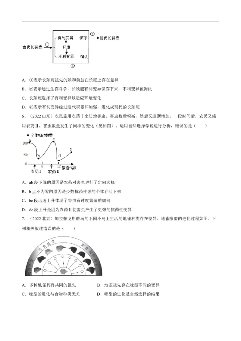 专题21生命起源和生物进化（原卷版）_6生物中考复习_2023年中考复习资料_一轮复习_2023年中考生物一轮复习讲练测_专题21生命起源和生物进化（专题精练）-2023年中考生物一轮复习讲练测